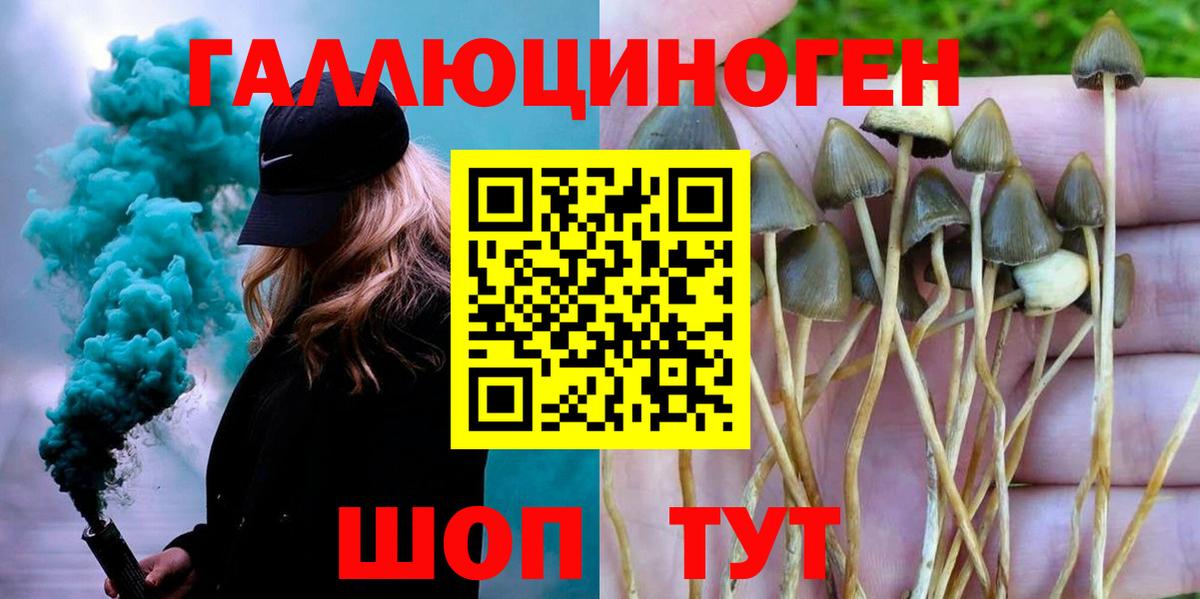 Псилоцибиновые грибы GOLDEN TEACHER Алейск