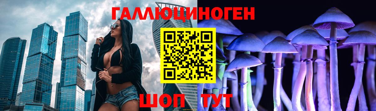 Галлюциногенные грибы GOLDEN TEACHER  цены   Алейск  Галлюциногенные грибы GOLDEN TEACHER  Вход с VPN 