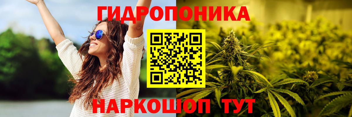Алейск  Марихуана AK-47  Вход с VPN  Конопля ГИДРОПОН  Конопля конопля  Марихуана THC 21% 