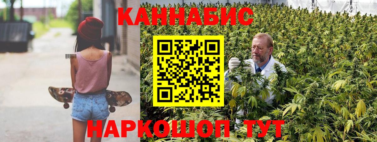 Конопля сатива Алейск